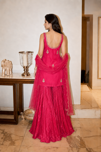 Rani Pink Embroidered Sharara Suit Set
