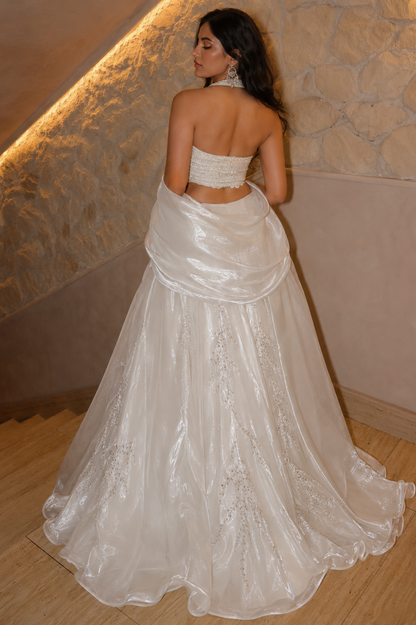 Swan Dreamy Lehenga in White